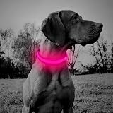 YFbrite Light Up Dog Collar Rechargeable LED Pink Large view 7
