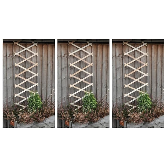 Buy Garden Mile Set of 3 Expanding 6ft x 1ft Wooden Garden Trellis