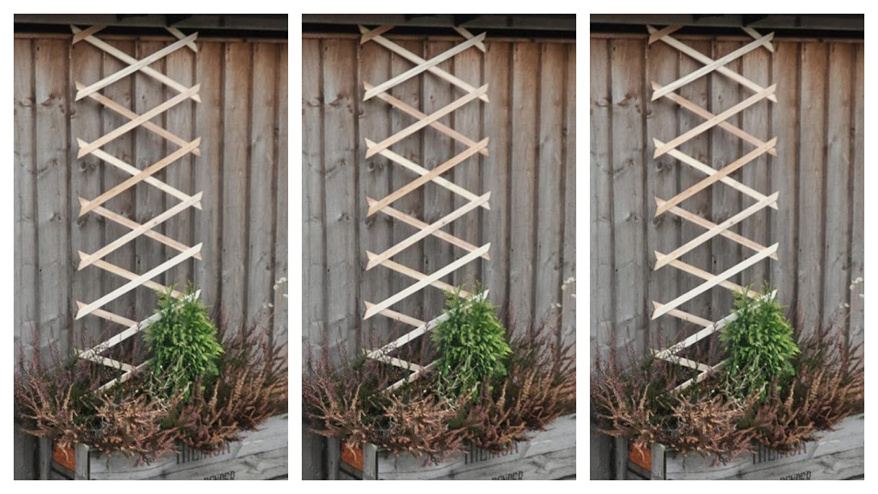 Buy Garden Mile Set of 3 Expanding 6ft x 1ft Wooden Garden Trellis