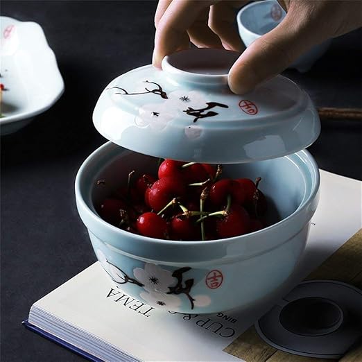 ZHA JIAN Cerámica sopa de fideos Pasta Bowl con tapa Retro Fruit ...
