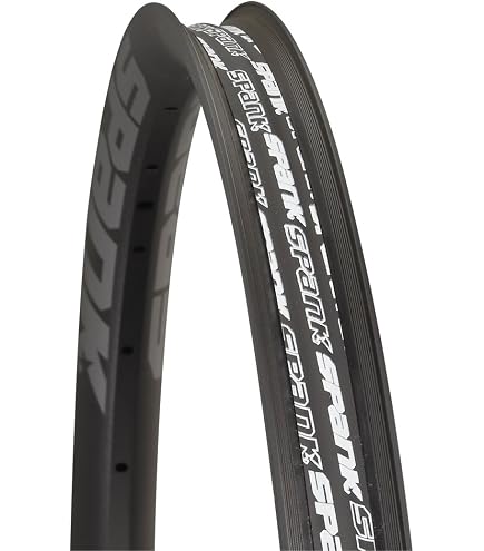 Sun Ringle Rim Sun 24 507X26 Mtx33 36 Bk/Disc : Amazon.ca: Sports