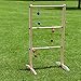 Sports Festival Premium Wooden Ladder Golf Ball Toss Game Set with 6 Bolas and Carrying Case Outdoor Back Yard Games for Family Reunion Ladderball Fun