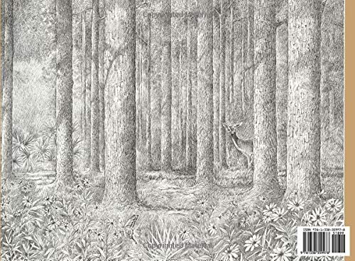 One Little Bag: An Amazing Journey