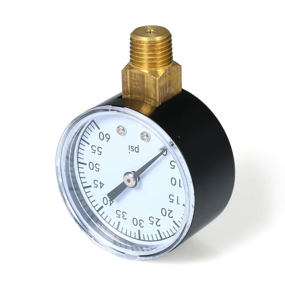 The 10 Best Water Filter For Festnight Pools