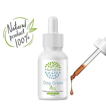 Dog Grass B60 Alcohol Free Herbal Extract Tincture Organic Dog