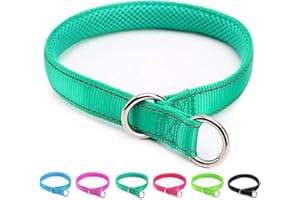 Mycicy Reflective Slip Dog Collar for Training, Adjustable Loop Dog Collar with Soft Padded– Turquoise, 1" W x 22" L (Fits Neck 15.7"-19.7", Medium Dogs 44-75 lbs)