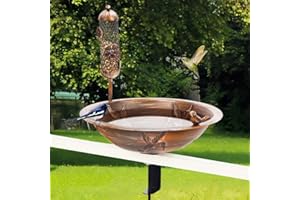 DREAMSOUL Deck Bird Bath with Bird Feeder, 13" Bird Baths for Outdoors with Adjustable Sturdy Steel Clamp, Metal Bird Bath Bowl for Railing Balcony Patio Decor