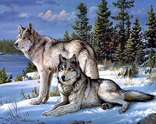 Donons 5D Wolf Diy Diamond Painting Animals Embroidery Full Drill Craft Decor Cross Stitch Kits