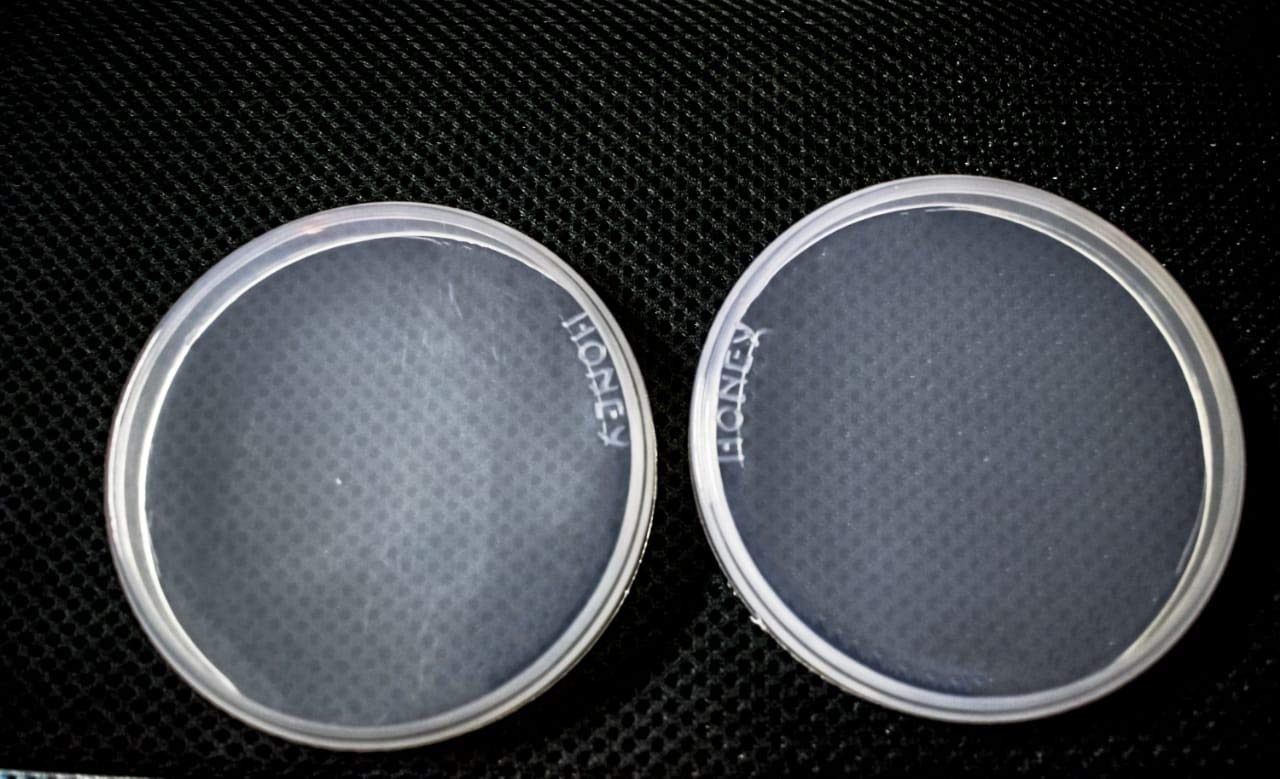 royal enfield meter cover