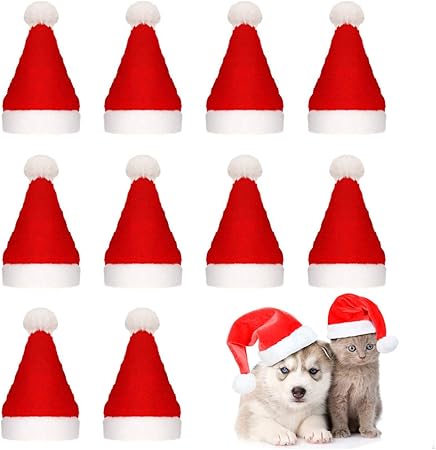 dog with a santa hat