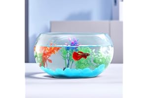 LAQUAL 1 Gallon Glass Fish Bowl with Decor, Include Fluorescent Rocks & Colorful Plastic Trees, High White Glass for Clear View, Small Fish Bowl/Aquarium for Betta/Goldfish, Nice Home Décor