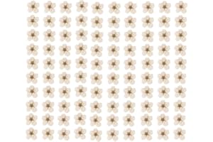 YUNZHI Pressed Flower for Resin Small Plum Blossom Narcissus, Dried Flower, Real Flower, Nail Flower Material, Glue Drop, Mobile Phone case, Hand Made 100pcs/pack (White)