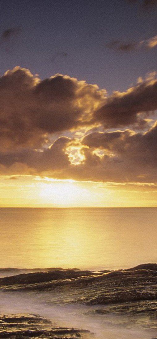 PeelitStickit, Beautiful Nature Wall Murals, ID-1209, vinyl