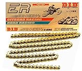D.I.D 520ERV3-150 Gold 150-Link High Performance X-Ring Chain with Connecting Link