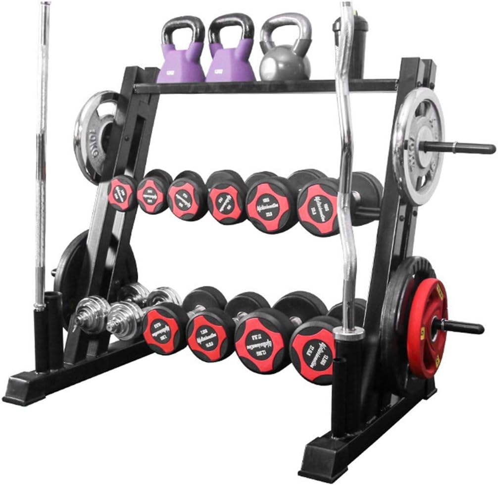 Delarsy Dumbbell Weight Rack Storage Stand Home Workout Gym Sports Strength Training Dumbbell Racks (Large) : Sports & Outdoors