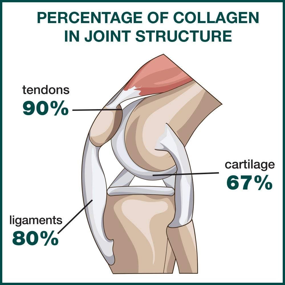 Collagen Pills for Joint Relief from GENACOL - 90 Colageno Hidrolizado Capsules | Enhanced Absorption Joint Supplements for Men and Women | Gluten Free, Non GMO: Beauty