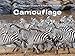 Camouflage (Science for Toddlers)
