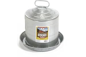 Little Giant® Double Wall Metal Poultry Fount | Poultry Waterer | Heavy Duty Galvanized Steel Waterer | Made in USA (Silver, 2 Gallon)