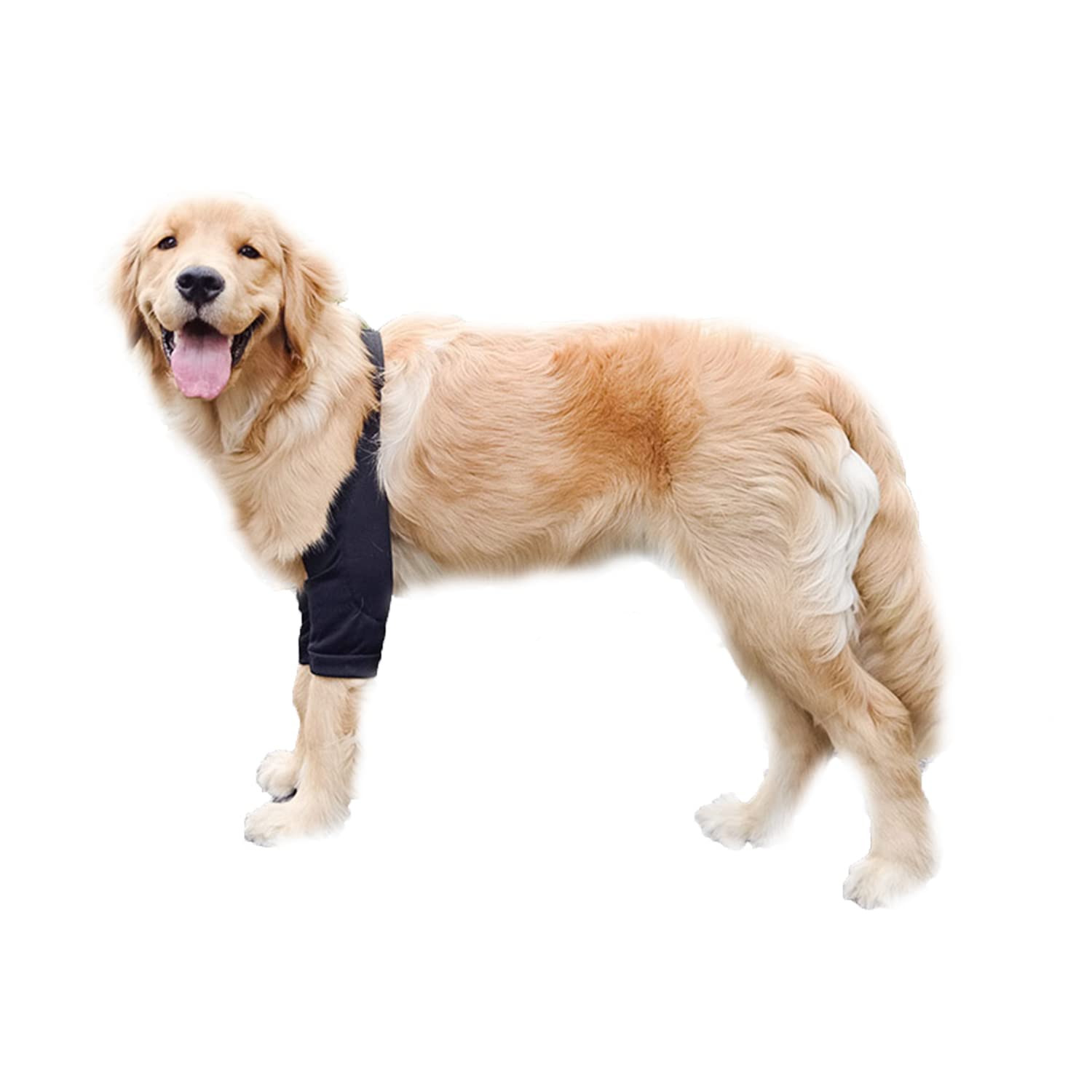 Blue Dream Island Dog Front Leg Braces Recovery Sleeve, Pet Knee Brace Wounds Protector for Medium Large Dog_L(Black)