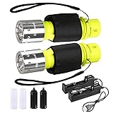 HECLOUD Diving Flashlight with Rechargeable Power