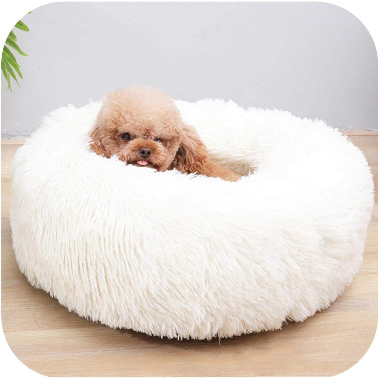 qazxsw Pet mat Sleep Soft Plush Dog Bed Round Shape Sleeping Bag Kennel Cat Puppy