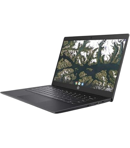Chromebook本体 Chromebook HP HP 11.6-Inch Chromebook, HD Display (1366 x 768), Intel Dual