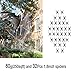 DAZONGE Fake Spider Web (32 Extra Spiders) for DIY Halloween Decorations Indoor/Outdoor