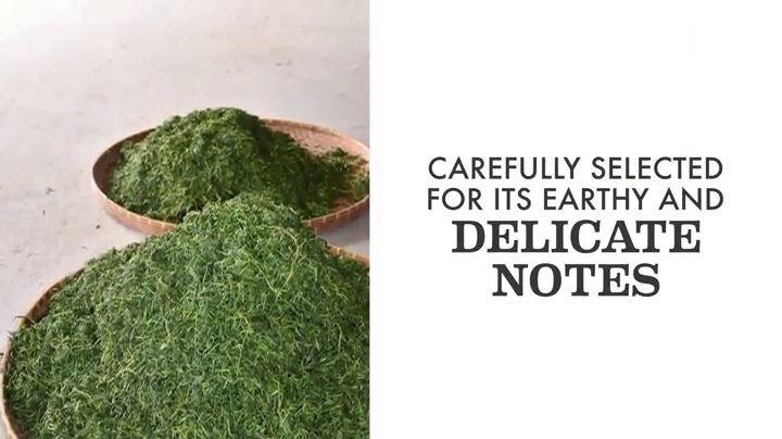 Bigelow-Classic-Green-Tea-Bags-40-Count-Boxes-Pack-of-6-Caffeinated-Green-Tea-240-Tea-Bags-Total