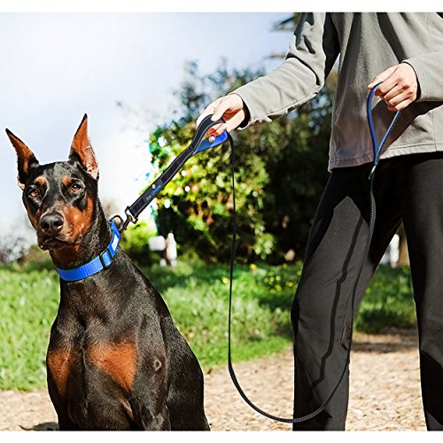 Paw Lifestyles Heavy Duty Dog Leash 2 Handles Padded Traffic Handle