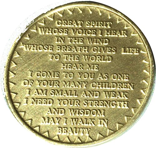 Healing Spirit Of Recovery Native American Bulk Lot of 25 Medallions Chips Bronze Great Spirit Prayer