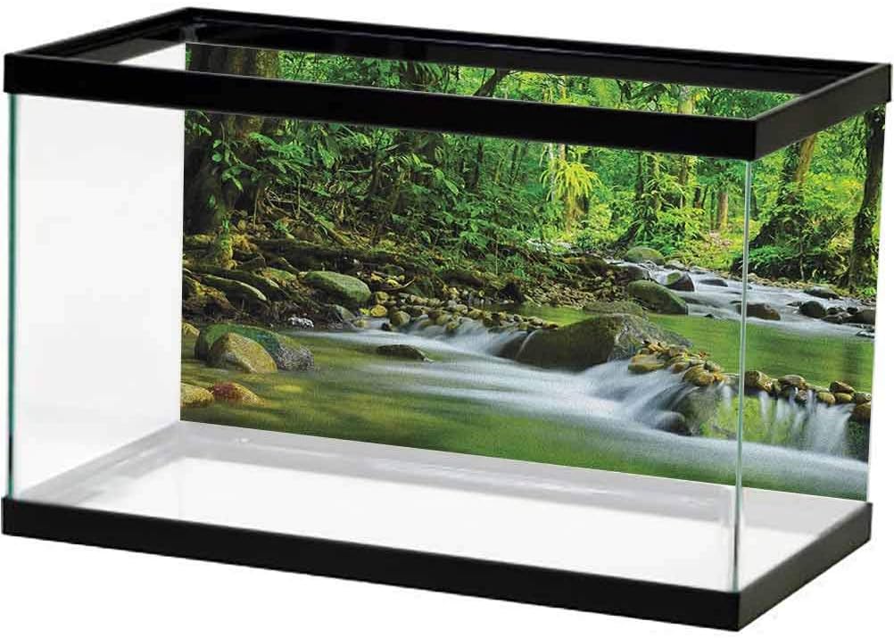 aquarium factory outlet