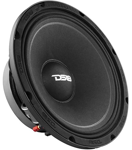 Amazon.com: DS18 PRO-XLNEO12MB 12