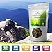Organic Raw Vegan Paleo Granola Superfood Snack By Peak Performance. Grain Free & Gluten Free. Zero Sugar Added. Great Alternative To Paleo Bars & Cereal (1 Pack)