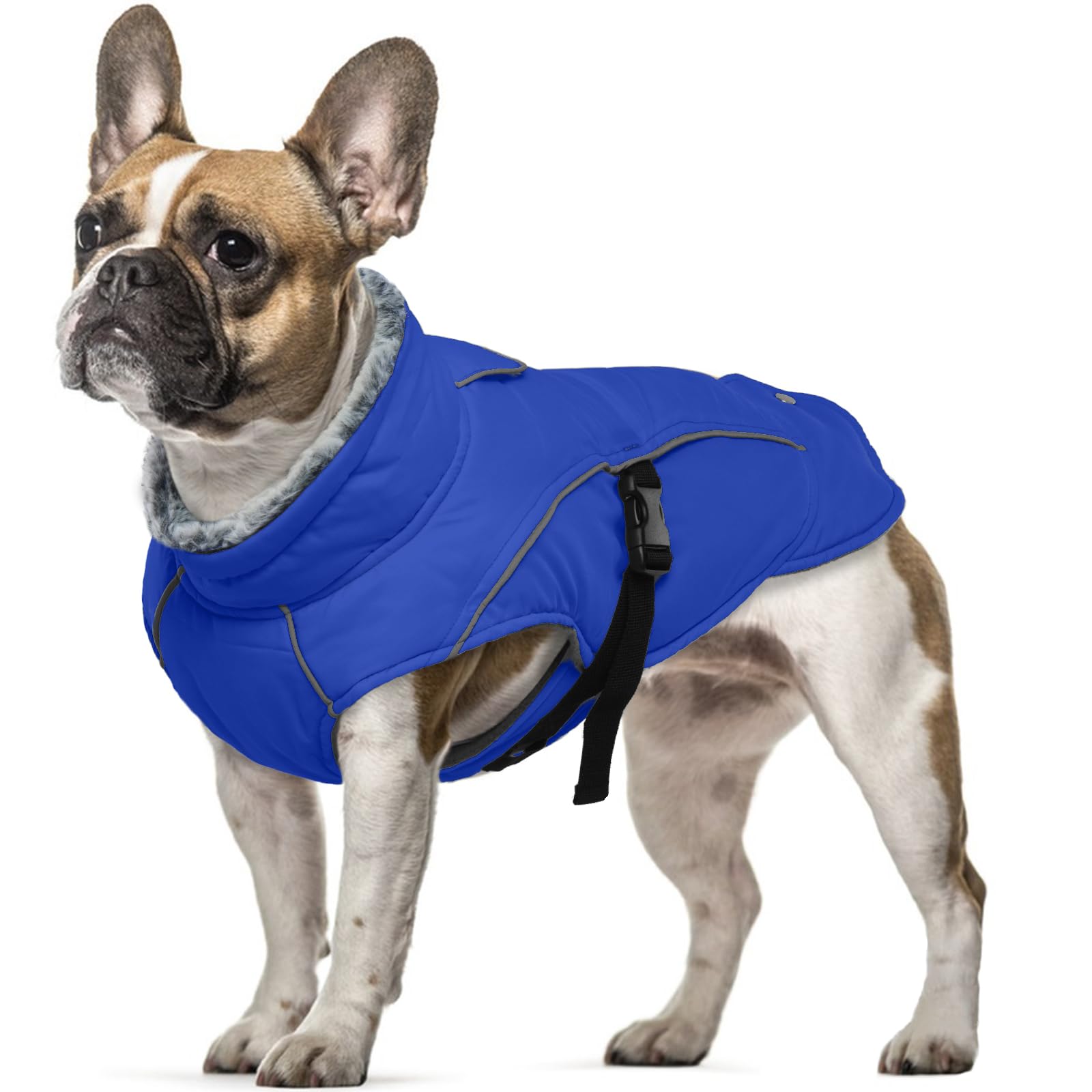 Waterproof Dog Winter Coat, Warm Puppy Coat Fleece Jacket for Winter Cold Weather with Fleece Collar Warm Dog Apparel Clothes(Blue, S)