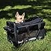 PetsN'all Airline Approved Pet Carrier Soft-Sided Foldable and Comfort Dog Travel Carrier Superior Ventilation Dimension Size 15.8 x 10.2 x 10.2