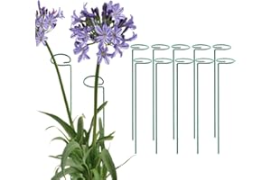 MTB SUPPLY Green 36 inch Single Stem Plant Stakes Flower Support Rings, Pack of 10,Gardening Planter Cages for Single Stem Flowers, Amaryllis,Peony, Lily,Narcissus