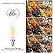 Kohree E12 Edison Bulb LED Candelabra Bulb Chandelier Bulb B10 Candle Light Bulb 40W Equivalent, 2700K Warm White, ETL Listed Non-Dimmable (Pack of 6)