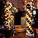 2 Set Balloon Column Kit Arch Base Stand and Pole 61 inch Height [2019 Upgrade]+30Pcs Balloon Rings, Quick & Easy Balloon Tower Decoration for Birthday Party Wedding Party Event Decorations