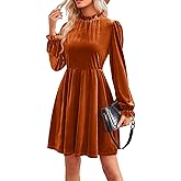 Jayscreate Women's 2023 Velvet Dress Elastic Waistline Fall Long Sleeve Wedding Guest Short Wrap Tunic Formal Dress