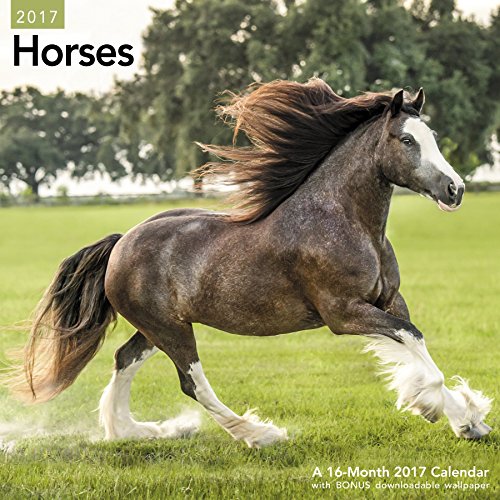 UPC 038576254374, Horses Wall Calendar (2017)