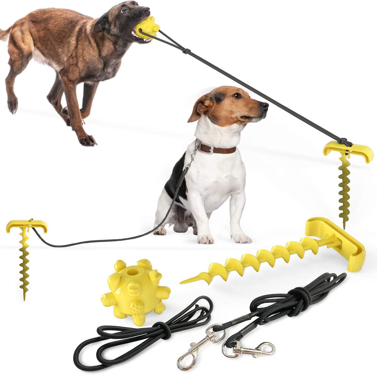 Dog leash ground anchor Clearance