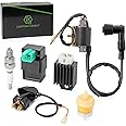Ignition Coil Kit with 5 Pin AC CDI Box Voltage Regulator Rectifier Solenoid Relay & Spark Plug for Kazuma Meerkat 50cc Falcon 70cc 90cc 110cc Taotao Roketa Coolster 110CC ATV 3050B