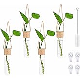 ARTORA Plant Propagation Hanging Glass Planter Terrarium Wall Mounted Decorative Flower Vase Hydroponic Plant Cultivation Test Tube for Home Office Decor (4PCS)
