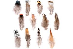 Ballinger 240pcs 12 Styled Natural Feathers Assorted Mixed Feathers for Jewelry and Dream Catcher Crafts Decoration