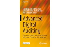 Advanced Digital Auditing: Theory and Practice of Auditing Complex Information Systems and Technologies (Progress in IS)