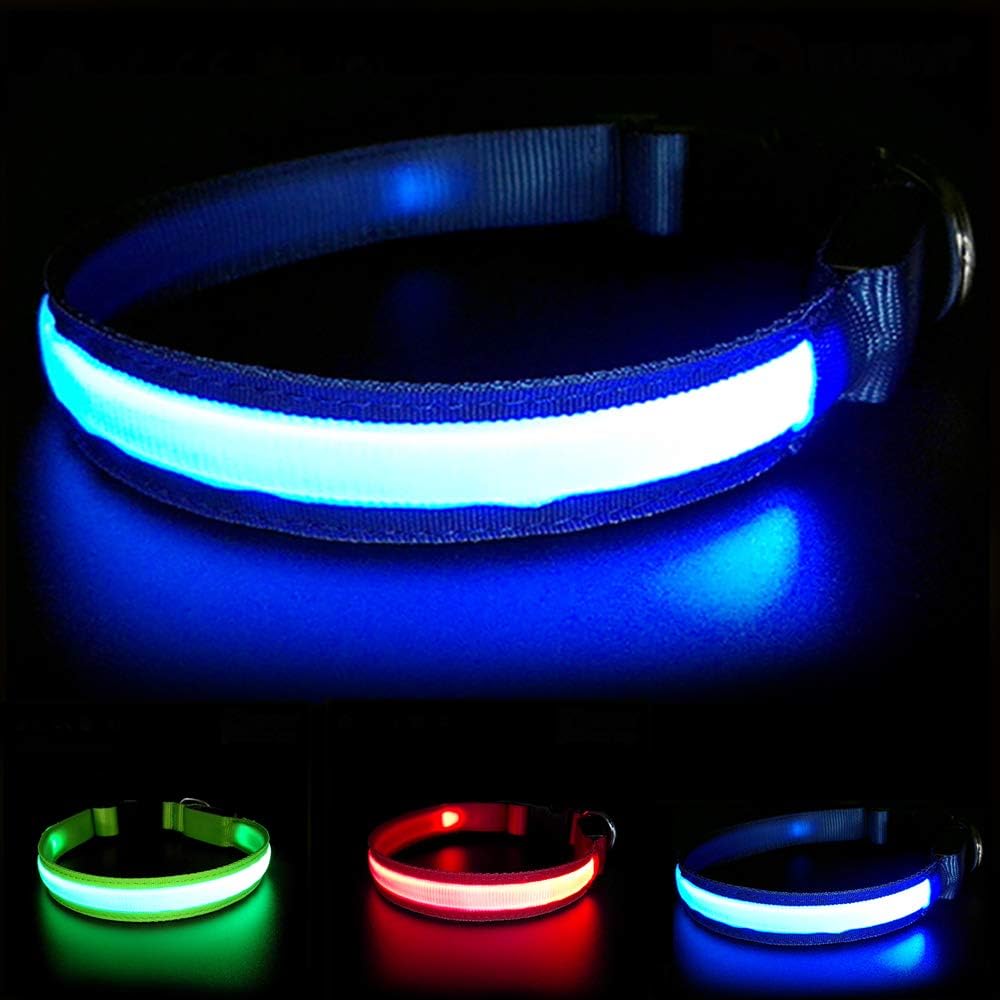 MASBRILL Collar Luminoso Perro de Mascota, 3 Modos Collar Perro Luz con Recargable y Impermeable, Ajustable Collares LED para Perros Pequeños/Medianos/Grandes(Azul M)