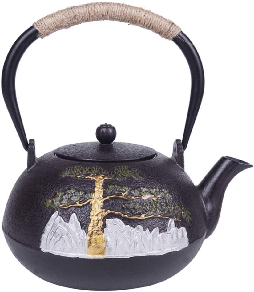 DTH Teapot with Filter Teapot Cast Iron Teapot with Stainless Steel Filter Stove Kettle, 1.2L, Handmade, Chinese