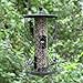 Perky-Pet 735 The Preserve Wild Bird Feeder