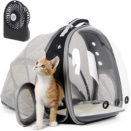 cat bubble backpack amazon