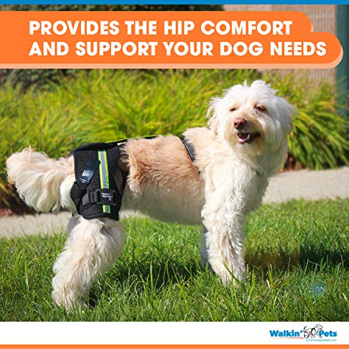 Walkin-Hip-EEZ-Dog-Hip-Brace-Support-Harness-System-Provides-Joint-Support-for-Dogs-with-Hip-Dysplasia-and-Other-Conditions-Affecting-The-Hip-Joint